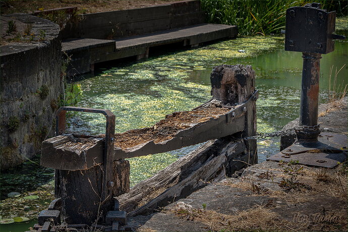 Original - 20260723-DSC00193 v3