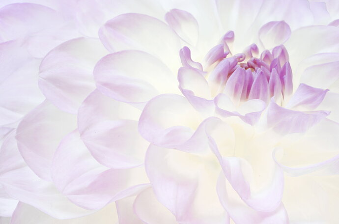 Revision 1 - 2026-09-06 16-05-14 B,Radius8,Smoothing4 -Edit-2-Edit.jpg