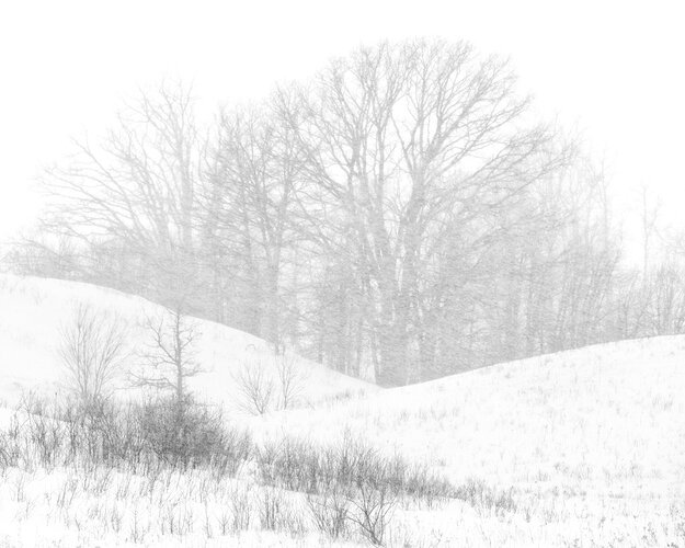 Winter's-Veil---Cropped