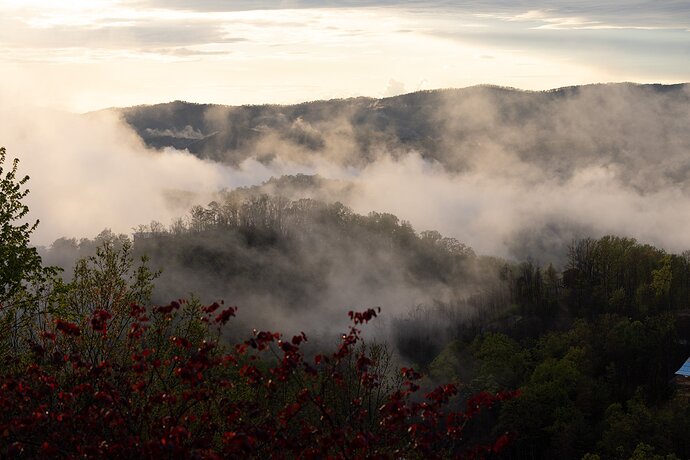 _F221974-1 Ariel Faith Fog Image - Processing Challenge - Copy of RAW - Unedited