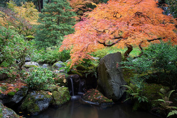 IMG5DIIIPost10k_4041NPNWebLrg-NPNWebLrg 4.9mb-9.jpg