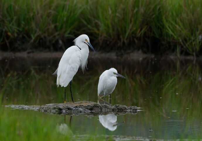 DSC_4036_DxO-2