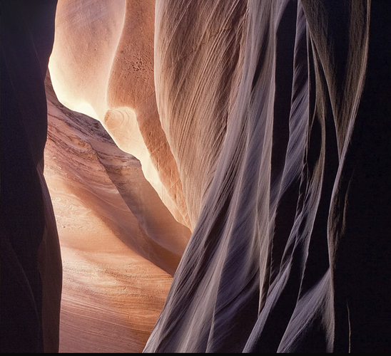 Screenshot 2026-02-20 100056