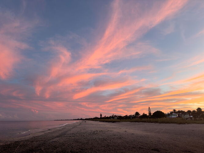 Dawn (1 of 1).jpg
