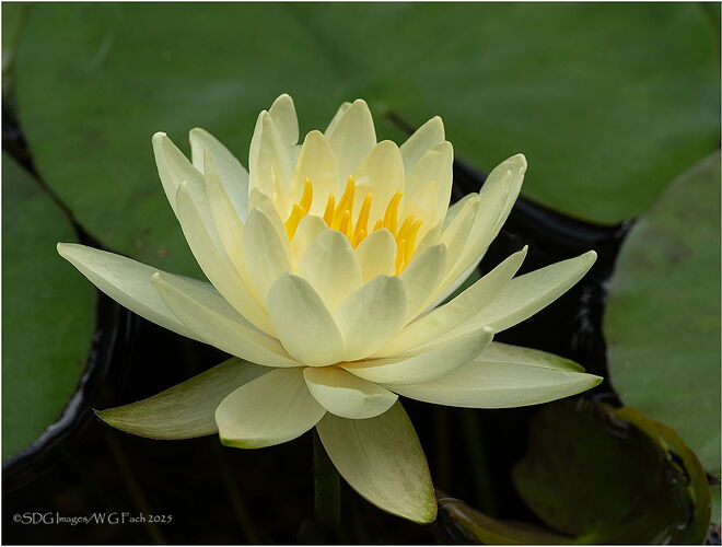 Water-Dreams-52224A7r3-25.jpg