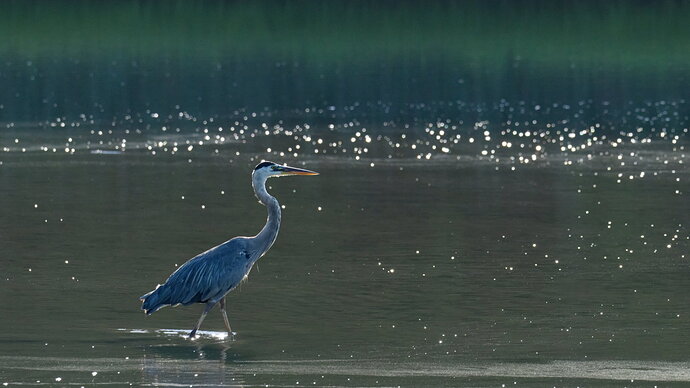 _DSC1224_DxO-3
