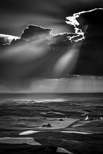 4341AffinityDramaticFFBW2048PX