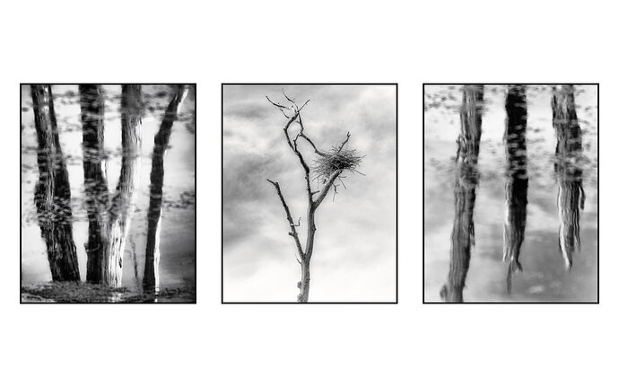 Original - Tryptych.jpg