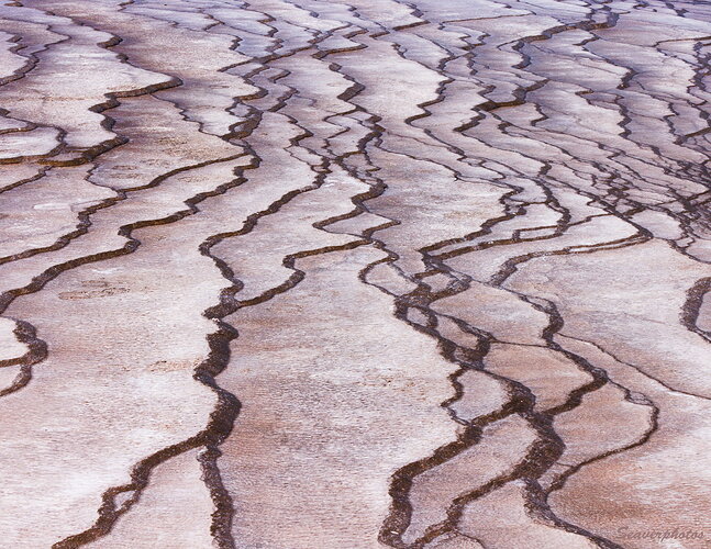 Grand Prismatic Teracettes.jpg