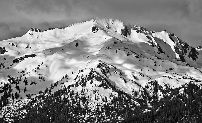 20250522_073557_Z825300-2