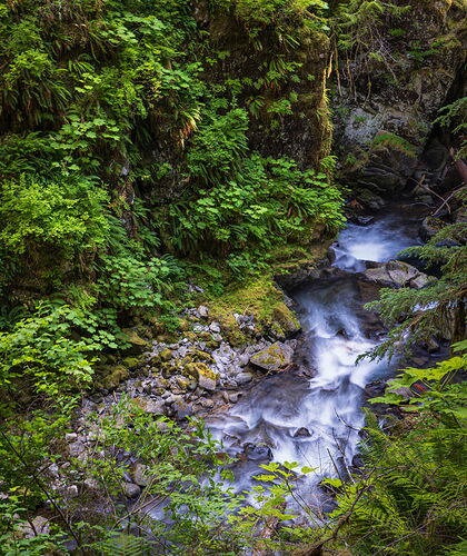 Intermediate-Lorraine Vinci2