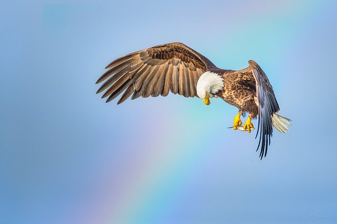 DSC_5540 Kachimak Rainbow Snack