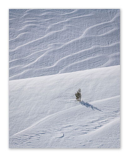 20250227 To Resist framed npn.jpg