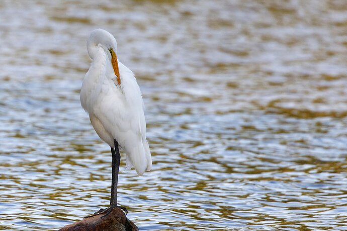 There is always one spot that need work.