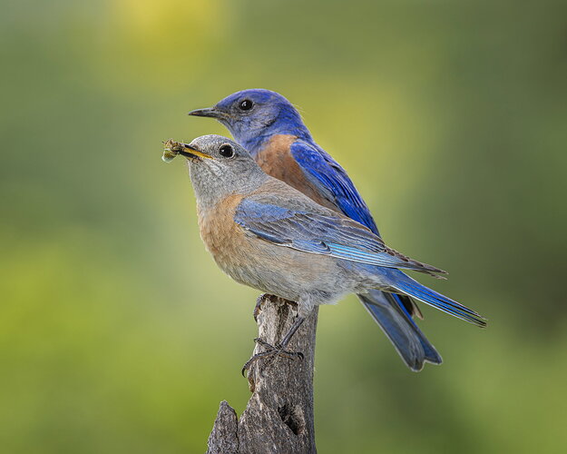 _49A5529-Edit-Edit