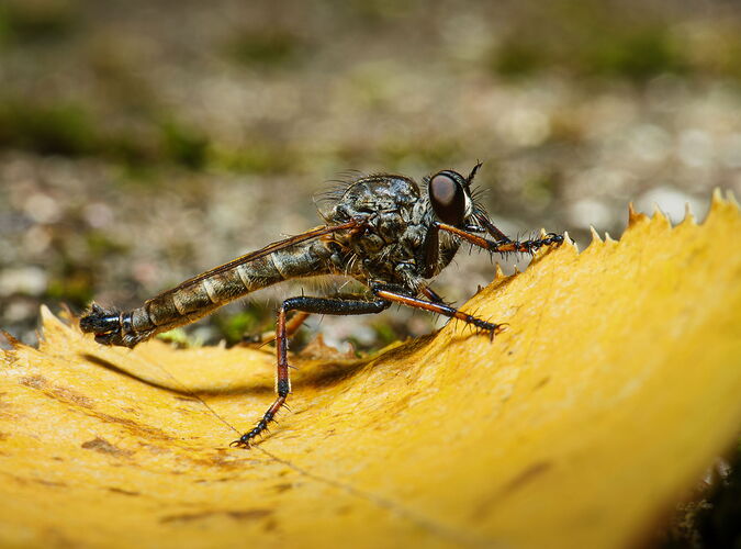 Kristen_SmithOctober 07, 2025_1012987.jpg