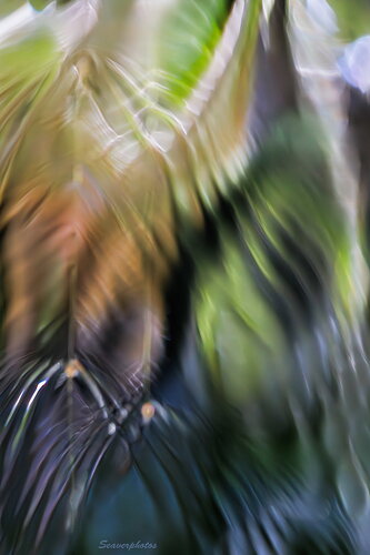 Falls Close Up #2.jpg
