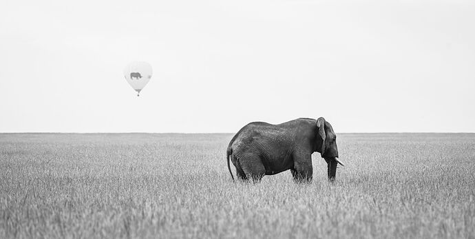 DSC_1148-Edit (2).jpg