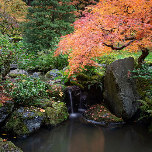 IMG5DIIIPost10k_4041NPNWebLrg-NPNWebLrg 4.9mb-3.jpg