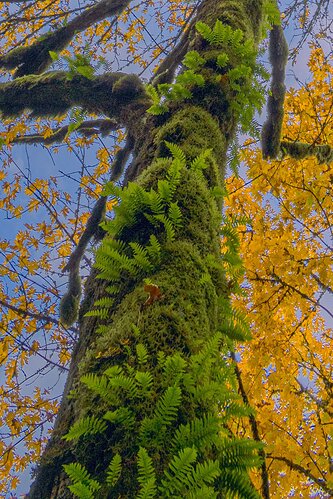 20211021-3824-Edit-2-Edit-Edit-Edit-Edit
