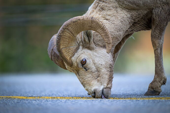 K2W_0537-Edit (1).jpg