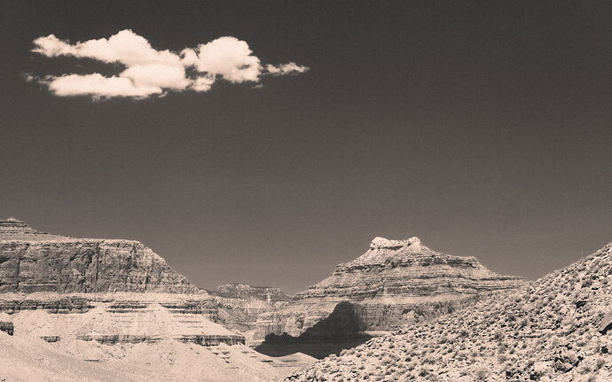 MatthewChathamPhotography1-NPN-12
