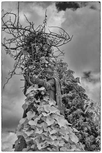 statue-