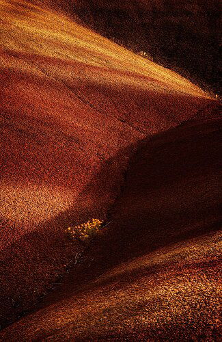 Painted Hills small scene 3