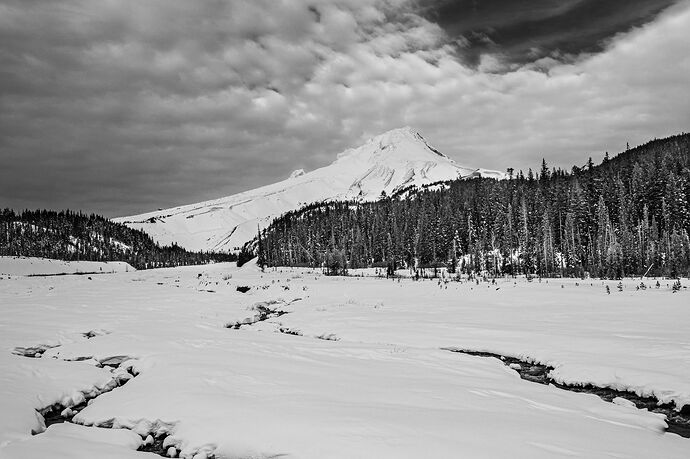 IMG5DMarkIV_0125NPNWebLrg-10