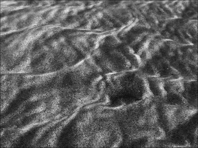 Low tide concealment.jpg
