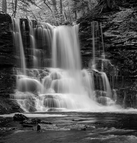 _DSC0398 copy rework # 2