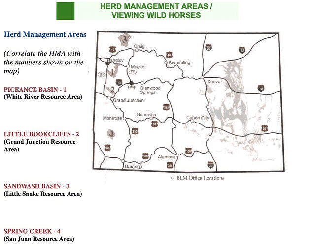 Wild Horse Herds-gigapixel-standard v2-2x