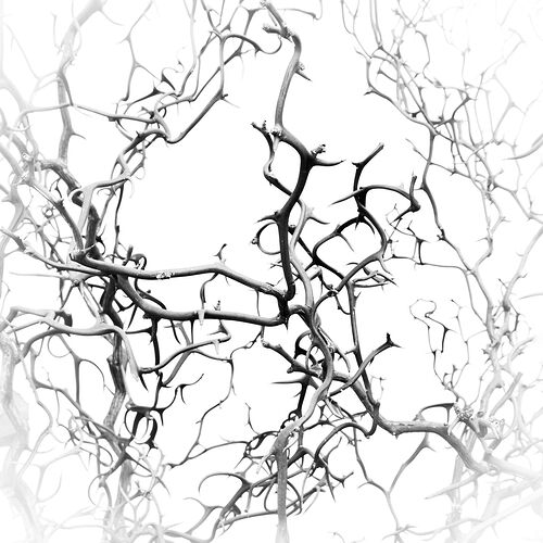 untitled-14NPNWebLrg-NPNWebLrg 4.9mb-8