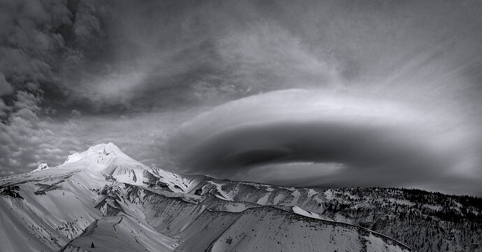 JohnWilliams20260110 B larger2