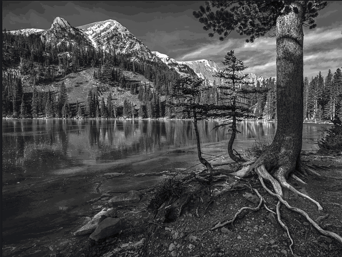 Screenshot 2025-12-04 155039