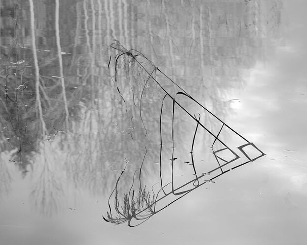 Winter Ghosts.jpg