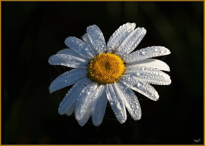 2020-05-27 09-58-01 (B,Radius8,Smoothing4)-Edit