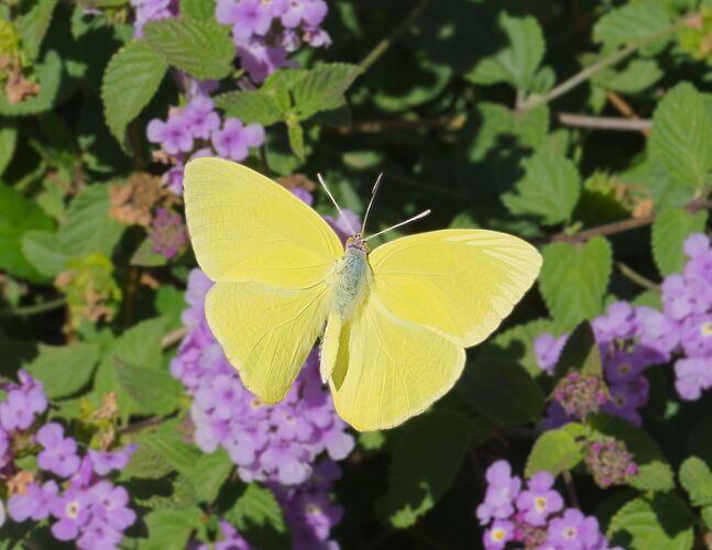 PA252302-003 Cropped.jpg