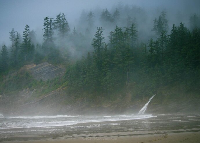 Misty on the Oregon Coast