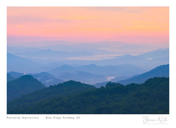 Painterly Impressions