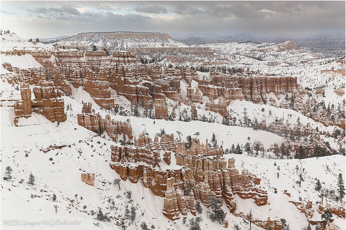 Revision 1 - Brrrrryce-6045-DxO_A77-26.jpg