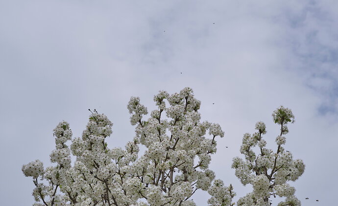 DSCF3134