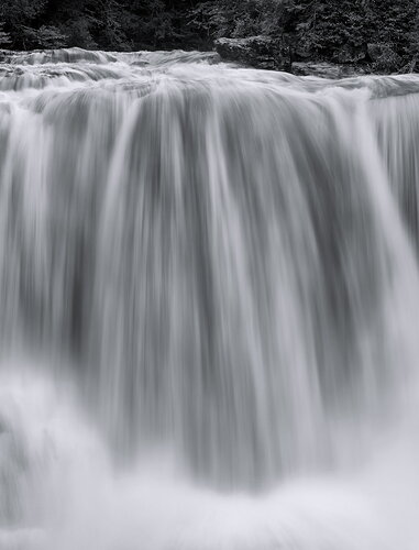 _DSC6298 copy B&W # 2 copy