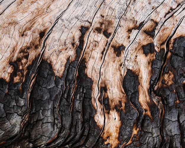 Charred Tree (rework 2)