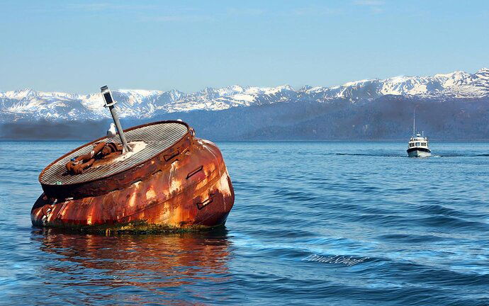 Shorebird 201-buoy-signed-sRGB-224