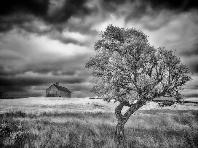 __0011_Nik_Nik_DxO(1)