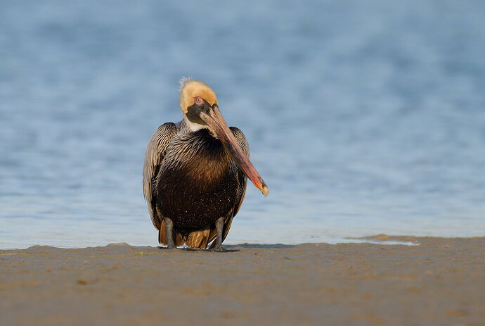 DSC_5750_DxO.jpg