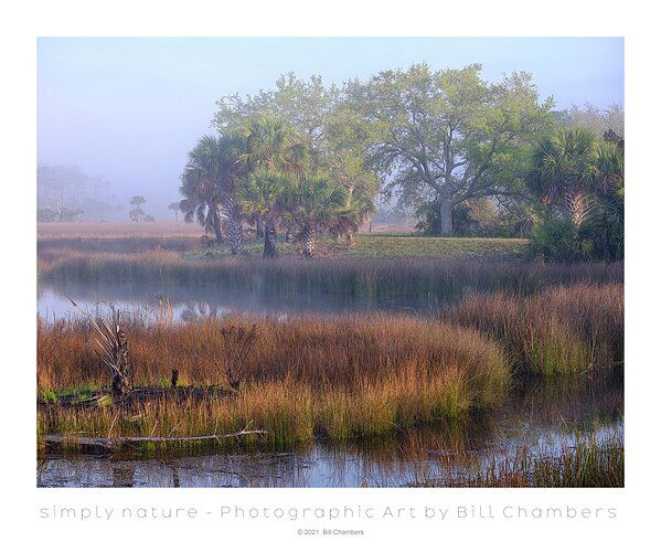 Gentle Light of Sunrise