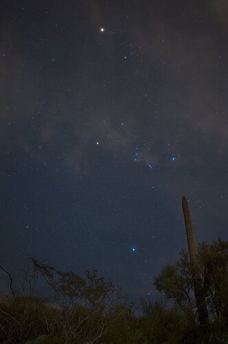 Desert night