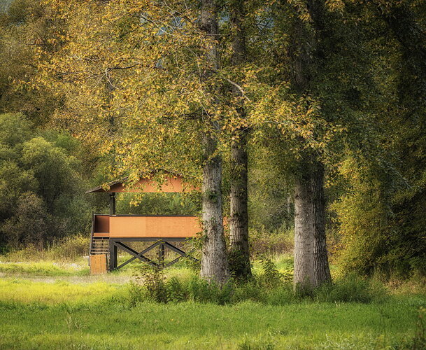 Original - Bear Shelter.jpg